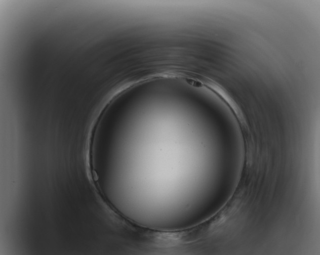 X0000089750861200706281624
