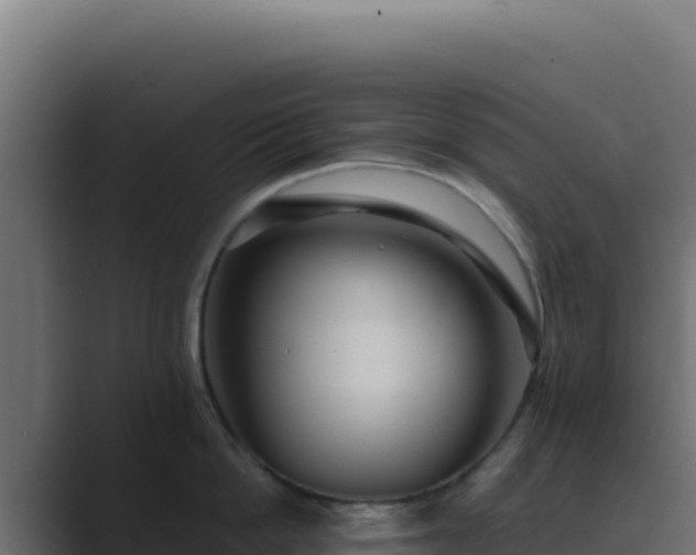 X0000089750862200706281624