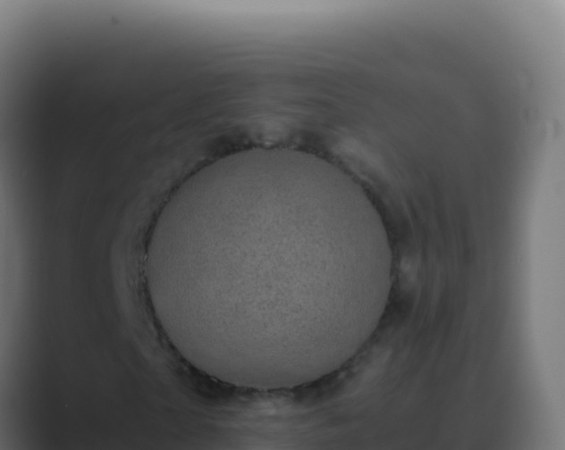 X0000089750865200706281624