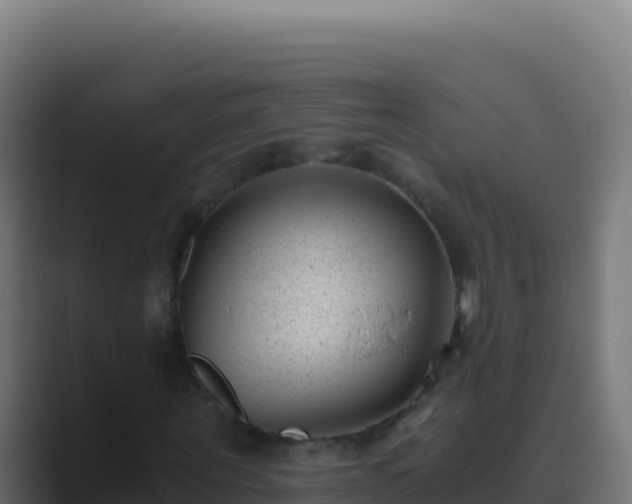 X0000089750867200706281624