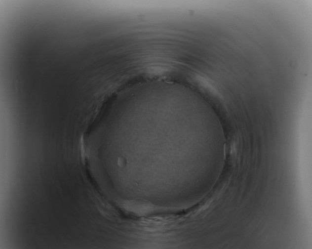 X0000089750868200706281624