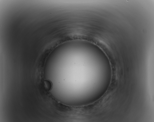 X0000089750870200706281624