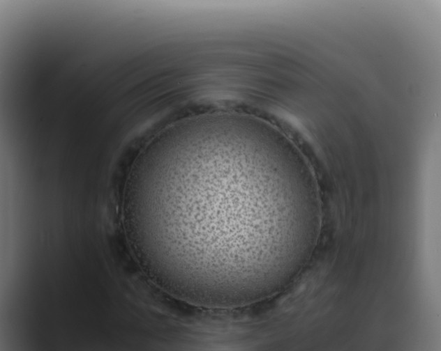 X0000089750871200706281624