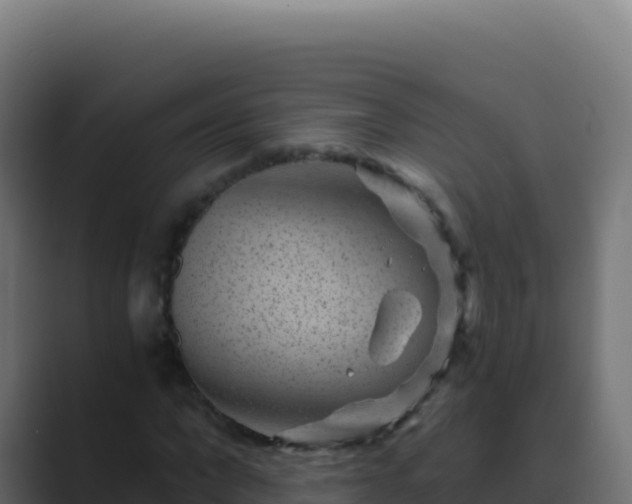 X0000089750872200706281624