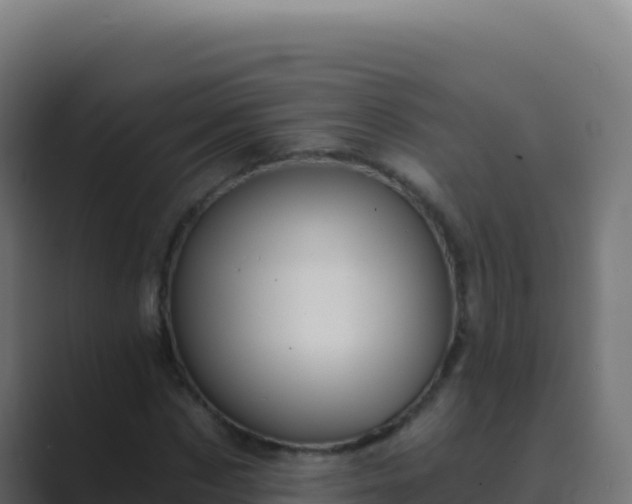 X0000089750873200706281624