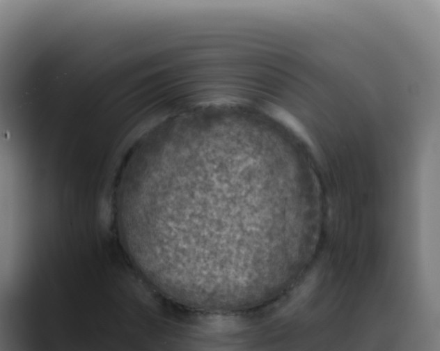 X0000089750874200706281624