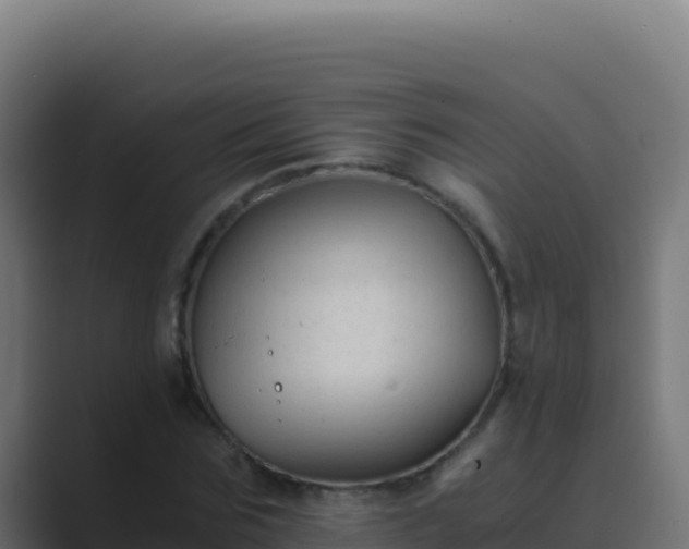 X0000089750875200706281624