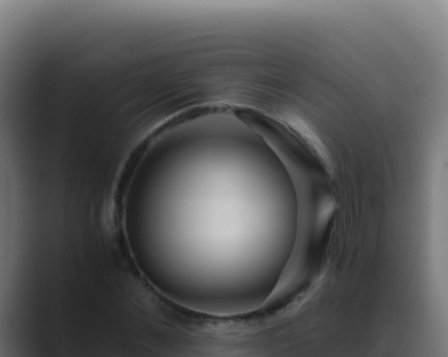 X0000089750876200706281624