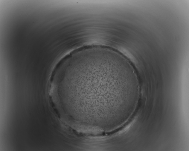X0000089750877200706281624