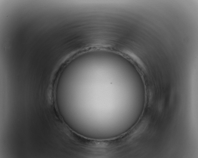 X0000089750878200706281623