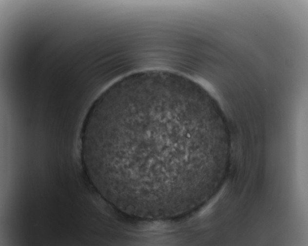 X0000089750879200706281623