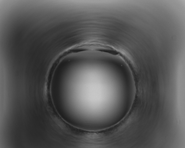 X0000089750880200706281623