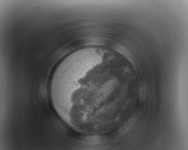 X0000089750882200706281623