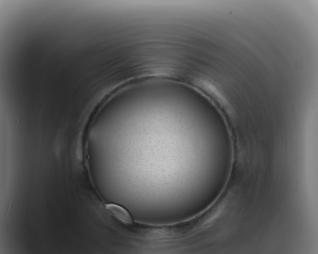 X0000089750883200706281623