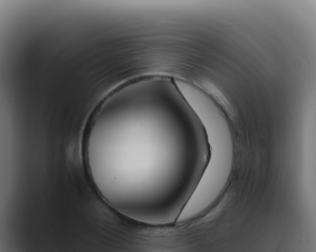 X0000089750884200706281623