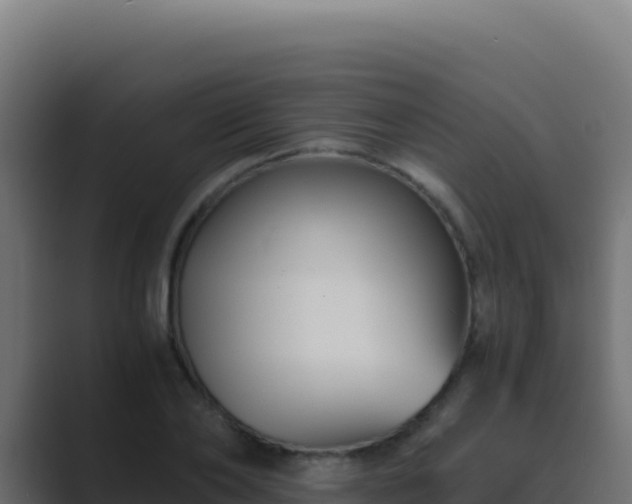 X0000089750886200706281623