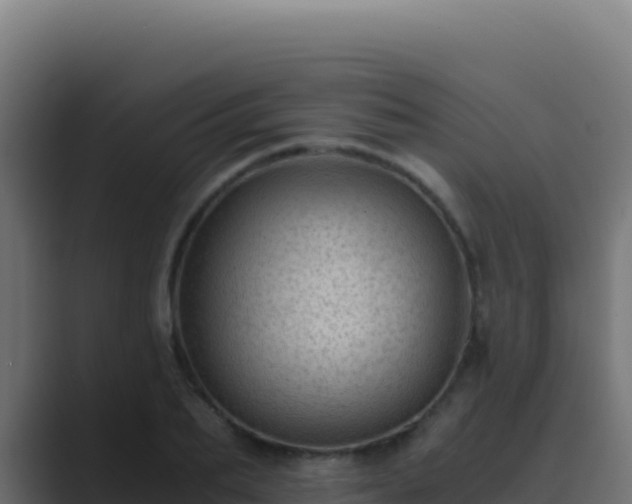 X0000089750887200706281623