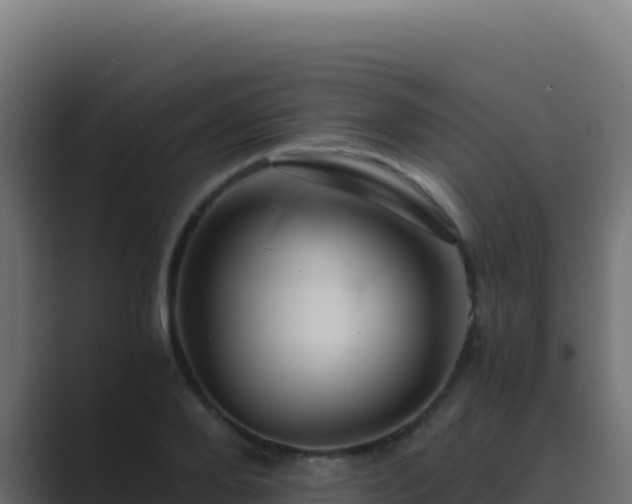 X0000089750888200706281623