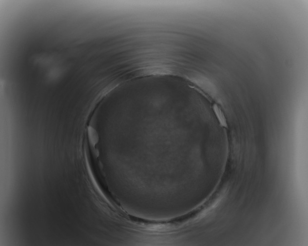 X0000089750889200706281623