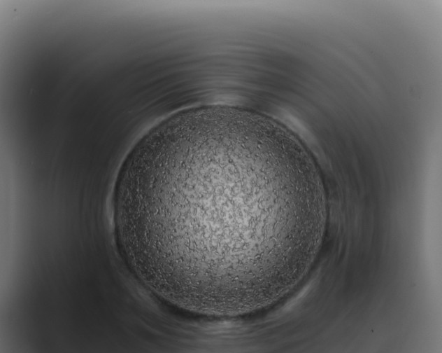 X0000089750891200706281623