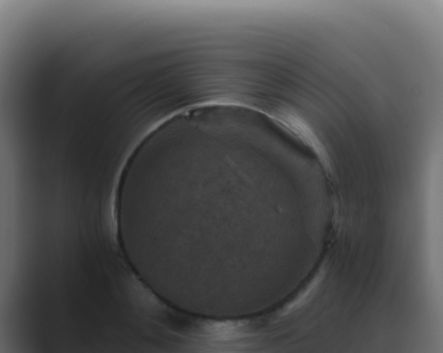 X0000089750892200706281623