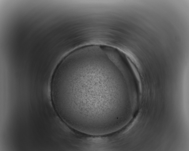 X0000089750896200706281623