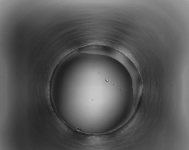 X0000089750898200706281623