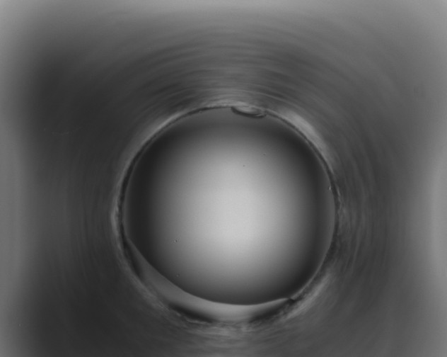 X0000089750901200706281623