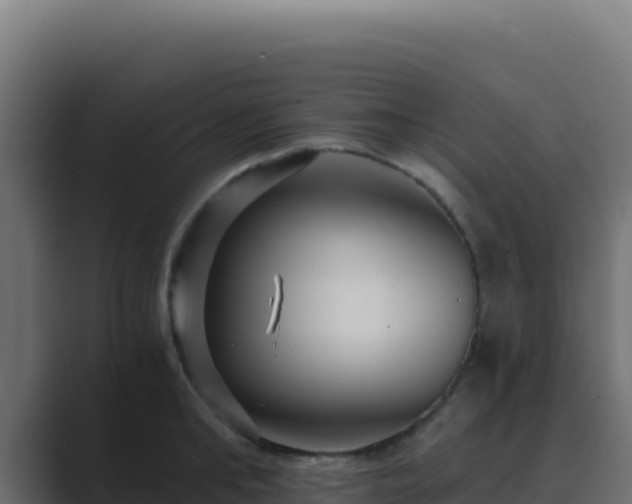 X0000089750902200706281623