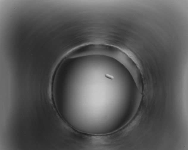 X0000089750904200706281623