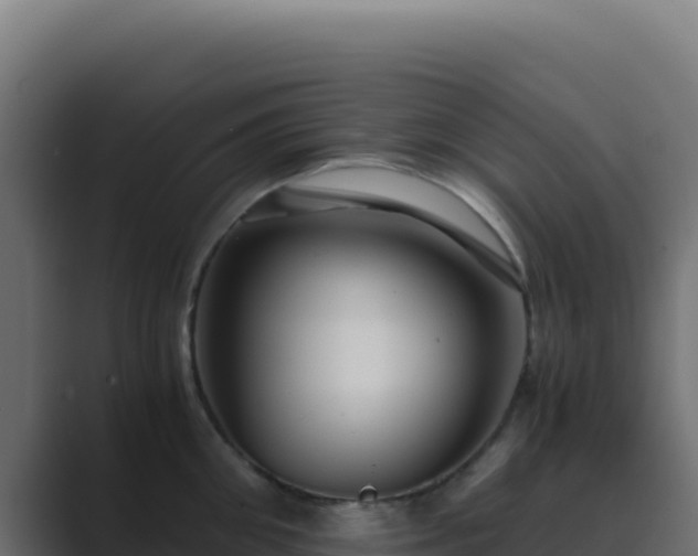 X0000089750906200706281623