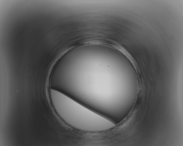 X0000089750909200706281623