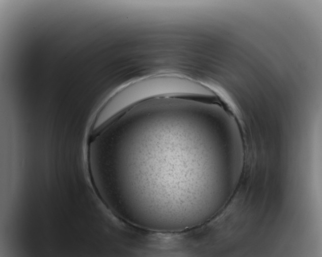 X0000089750910200706281623