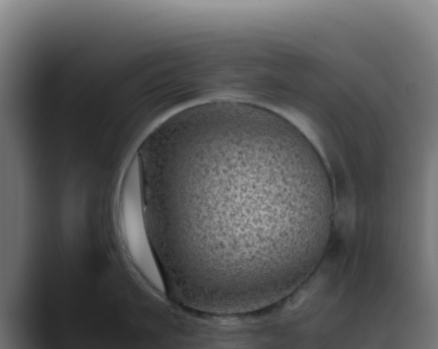 X0000089750911200706281623