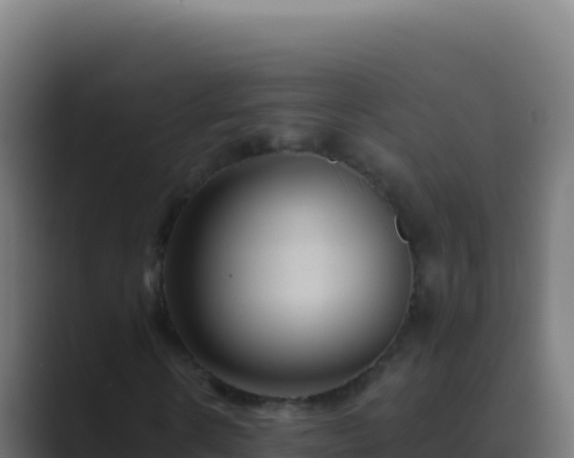 X0000089750914200706281623