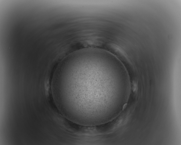X0000089750915200706281623
