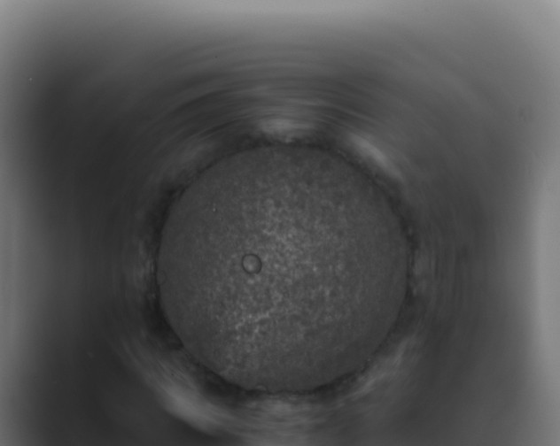 X0000089750917200706281623