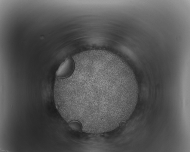 X0000089750918200706281623