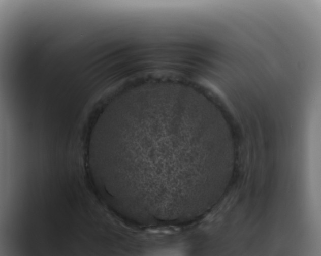 X0000089750919200706281623