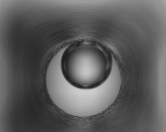 X0000089750920200706281623