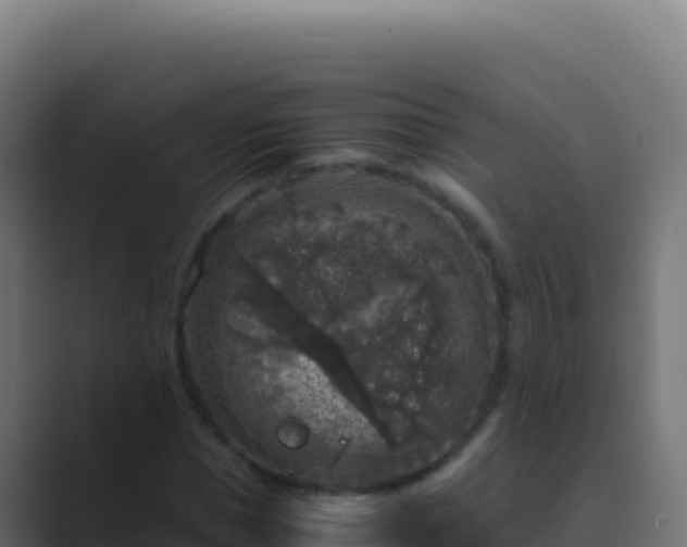X0000089750921200706281623