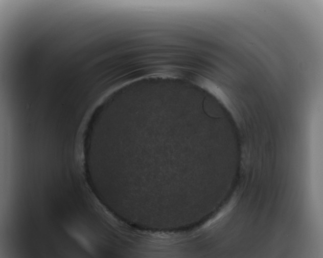 X0000089750923200706281623