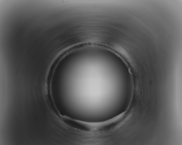 X0000089750924200706281623