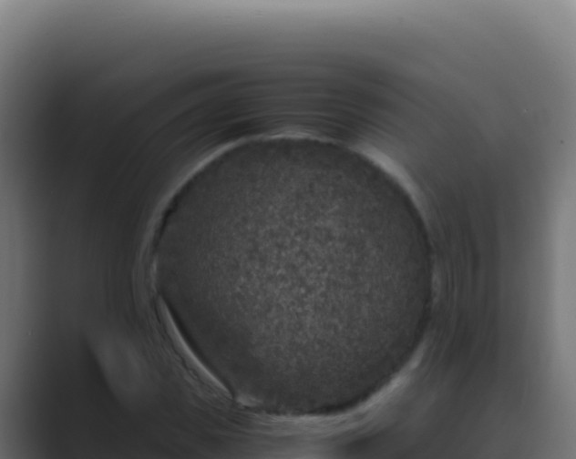 X0000089750925200706281623