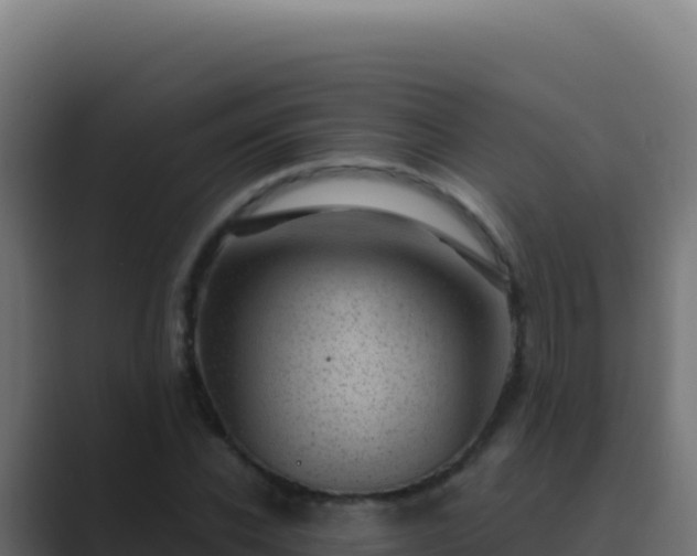 X0000089750926200706281623