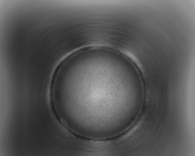 X0000089750928200706281623