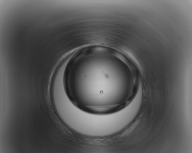 X0000089750932200706281623