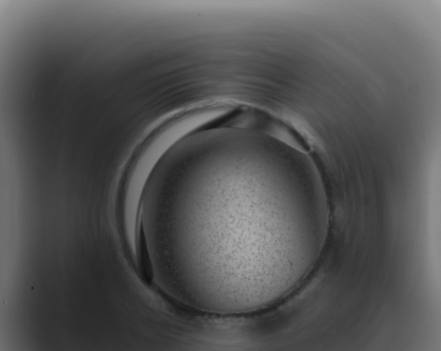 X0000089750934200706281623