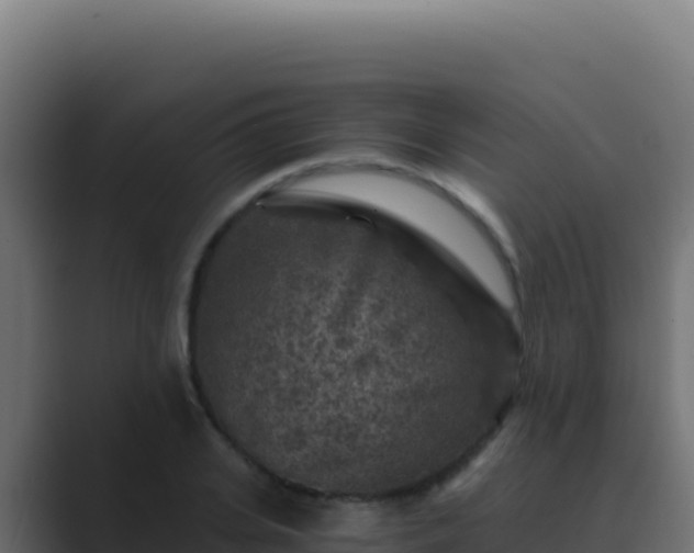 X0000089750935200706281623
