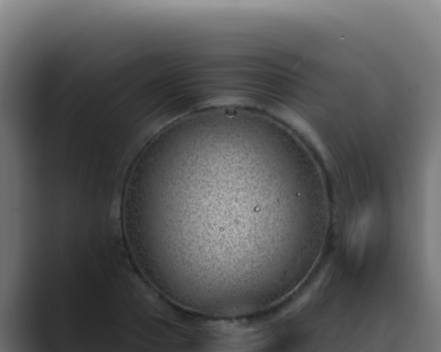 X0000089750937200706281623